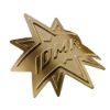 DMR Star Head Badge
