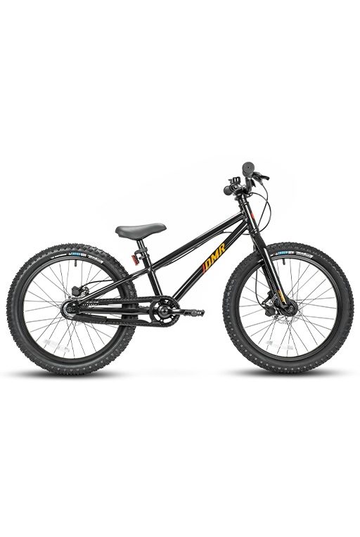 Team gx on sale 20 bike